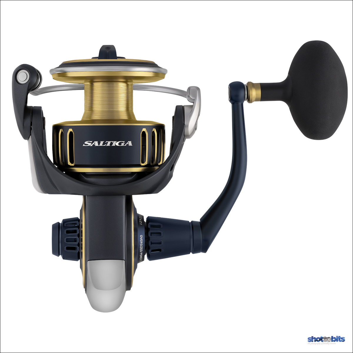 DAIWA 25 SALTIGA